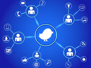 企業(yè)網(wǎng)站建設的作用